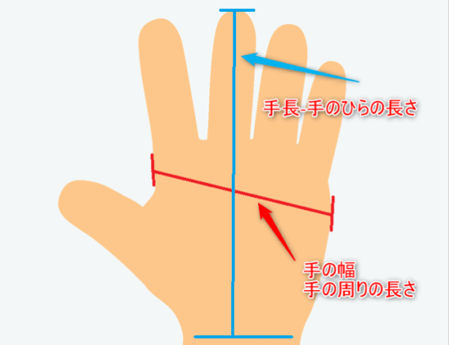 手の長さと幅の測り方